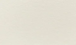 Anillustration Ansichtkaart Zonnebloemen met muisje