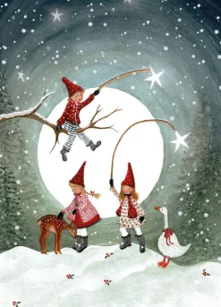 Bijdehansje Postkaart Gnome Children