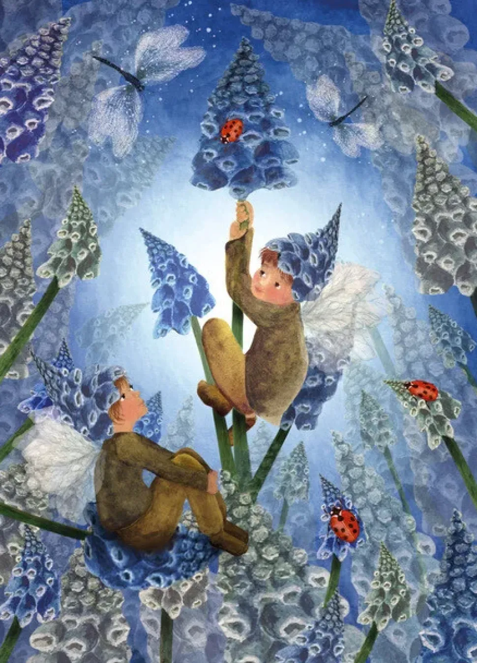 Bijdehansje Postkaart Ladybug Blues