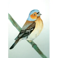 Brechtje Duijzer Ansichtkaart Vink