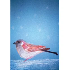 Brechtje Duijzer Ansichtkaart Mus