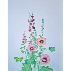 Brechtje Duijzer Minikaartje Stokroos