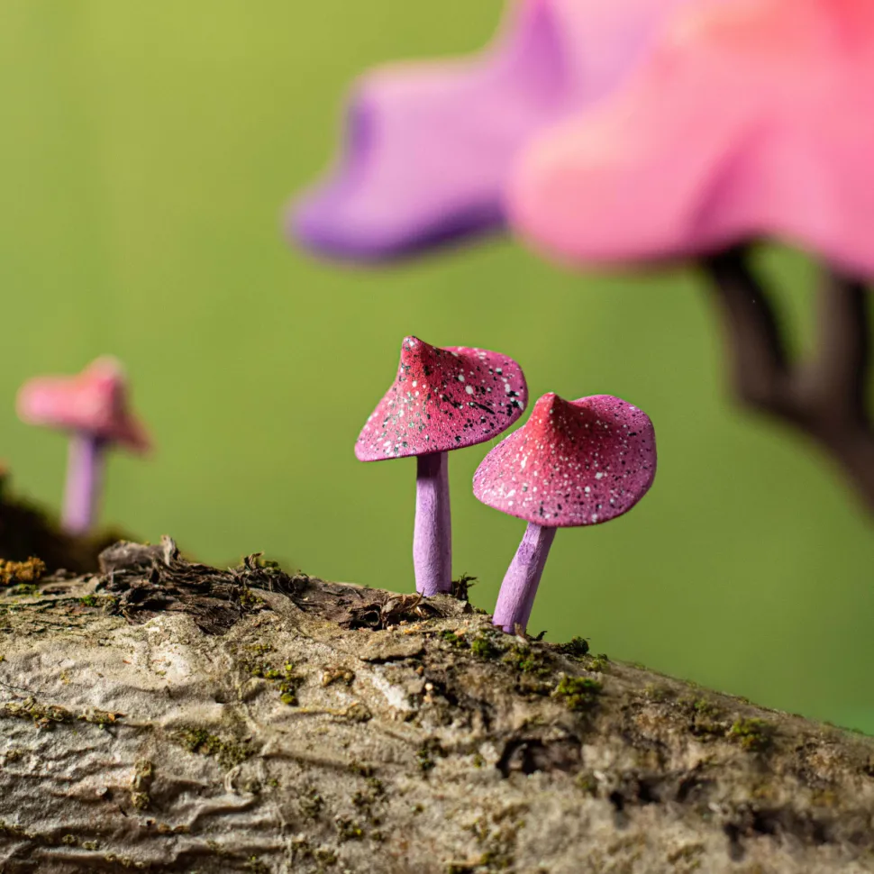 bumbu toys Boom Japanse Esdoorn