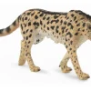 Collecta Koning Cheetah 88608