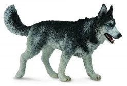 Collecta Siberische Husky 88707