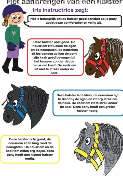 crafty ponies Halster Blauw