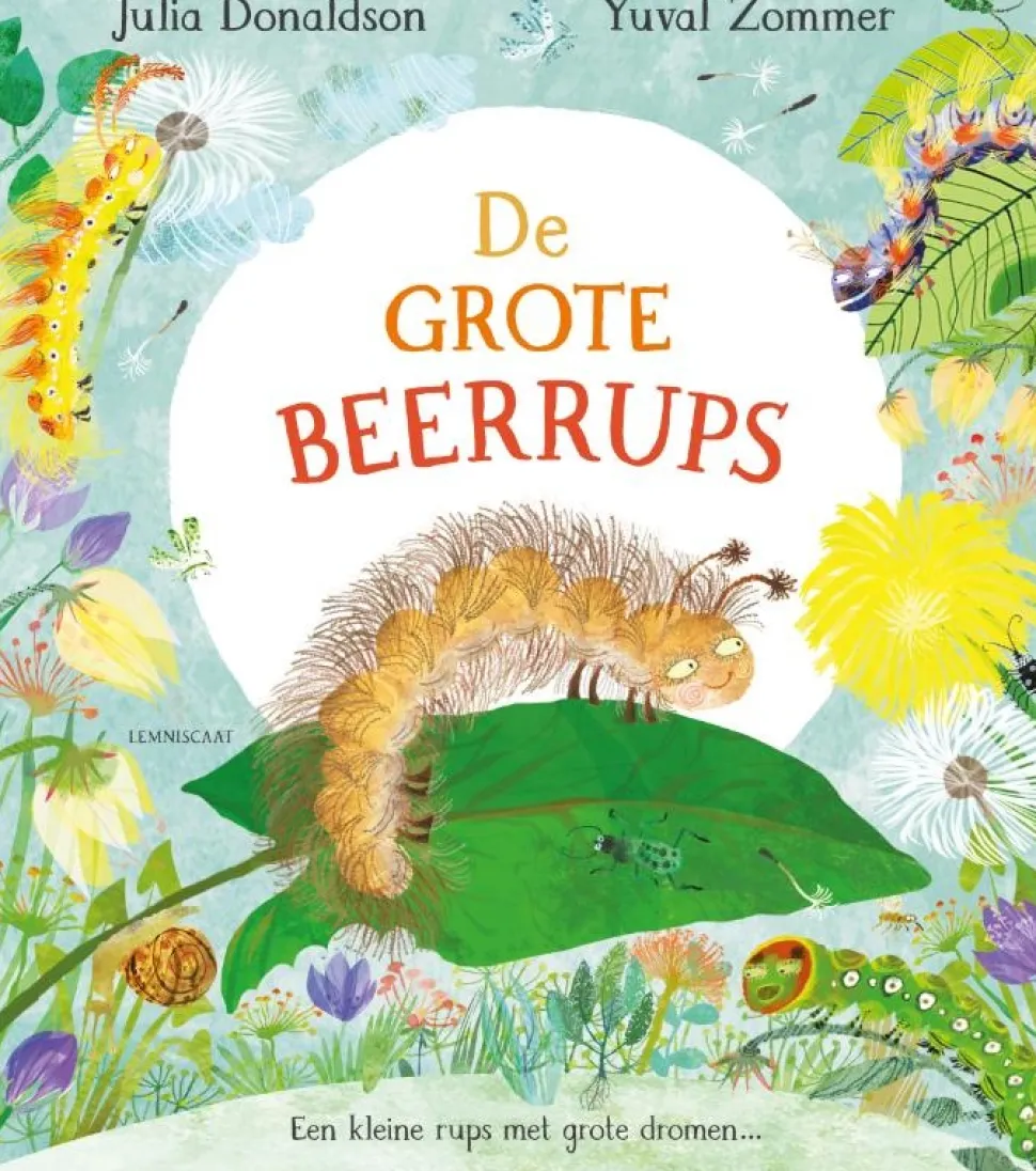 De grote Beerrups