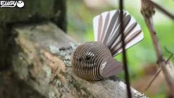 Eugy 3D Bouwpakket Fantail