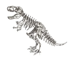 Eureka Puzzelboek 3D Dino's