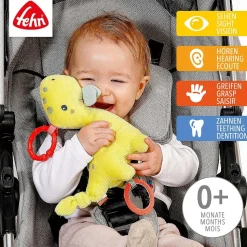 Fehn Activity Dino met Ring