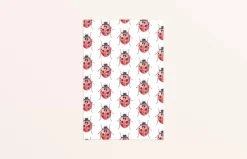 Fritsy Postkaart Lieveheersbeestjes