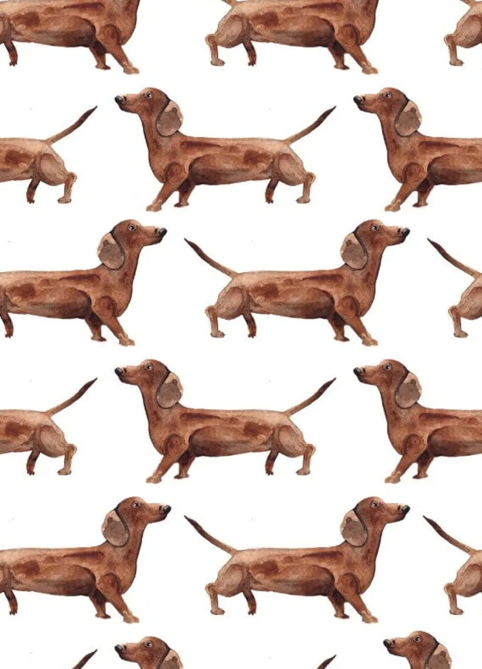 Fritsy Postkaart Teckels