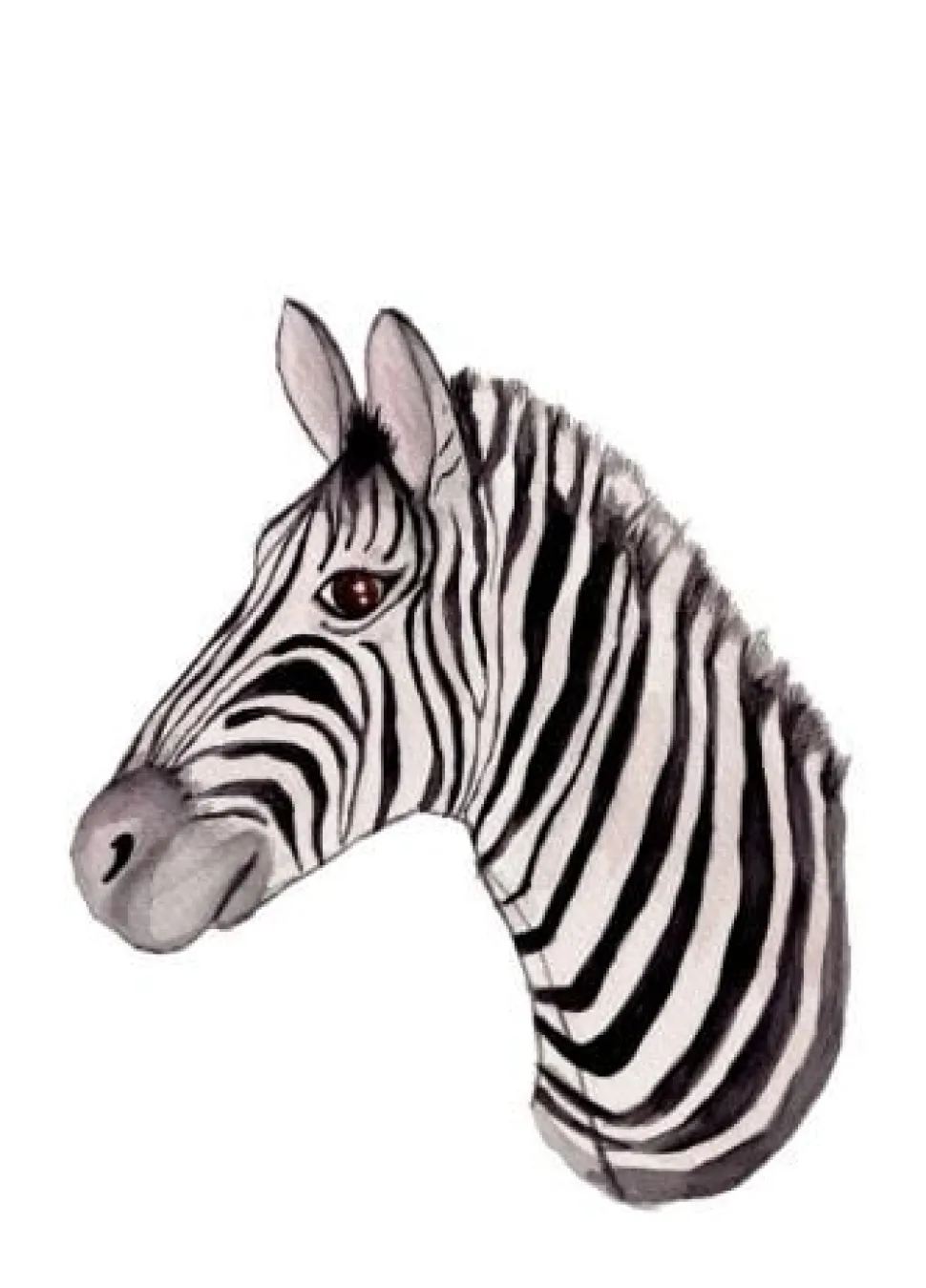Fritsy Postkaart Zebra