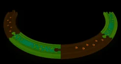 Hape Spoorbaan Uitbreiding Deep Jungle Track Pack