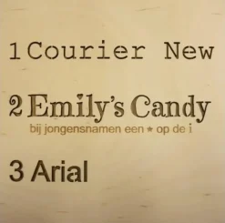 Het Houtlokael Naamlamp 3D Kasteel Hout