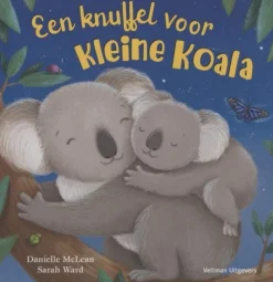 Hoe groot is de wereld?