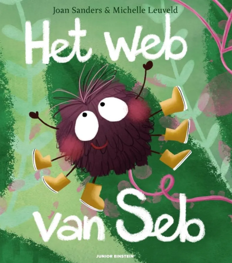 Junior Einstein Het web van Seb