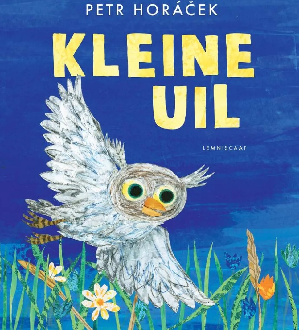 Kleine Uil