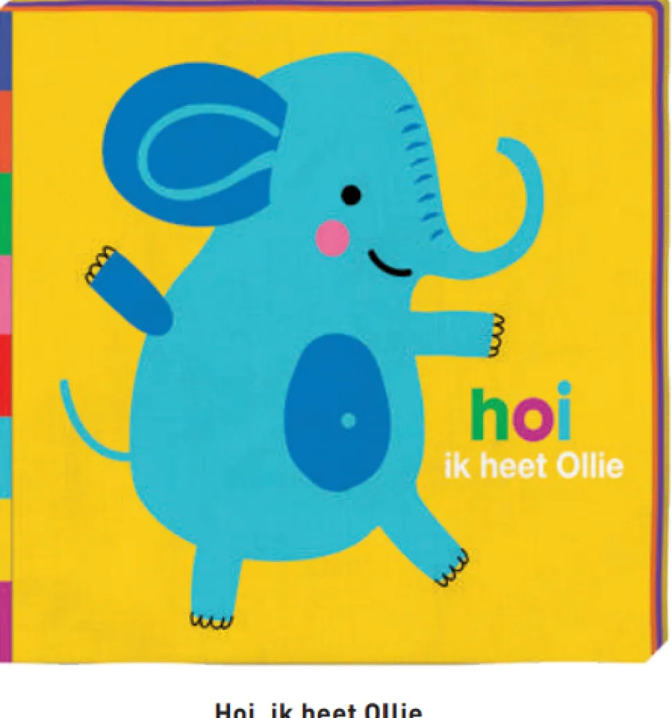 Knisperboekje Hoi hoe heet jij?