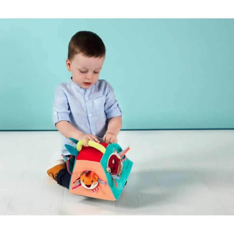 Lilliputiens Activiteitenpiramide Marius Pyramid