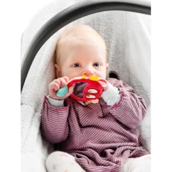 Lilliputiens Georges Spiegelrammelaar