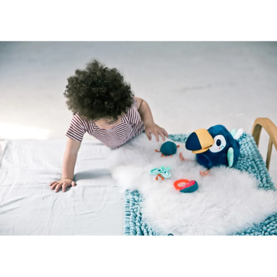 Lilliputiens Knuffel Activiteitenvogel Pablo