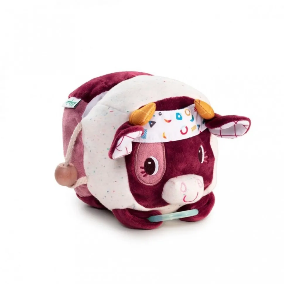 Lilliputiens Ontdekkingskoe Rosalie