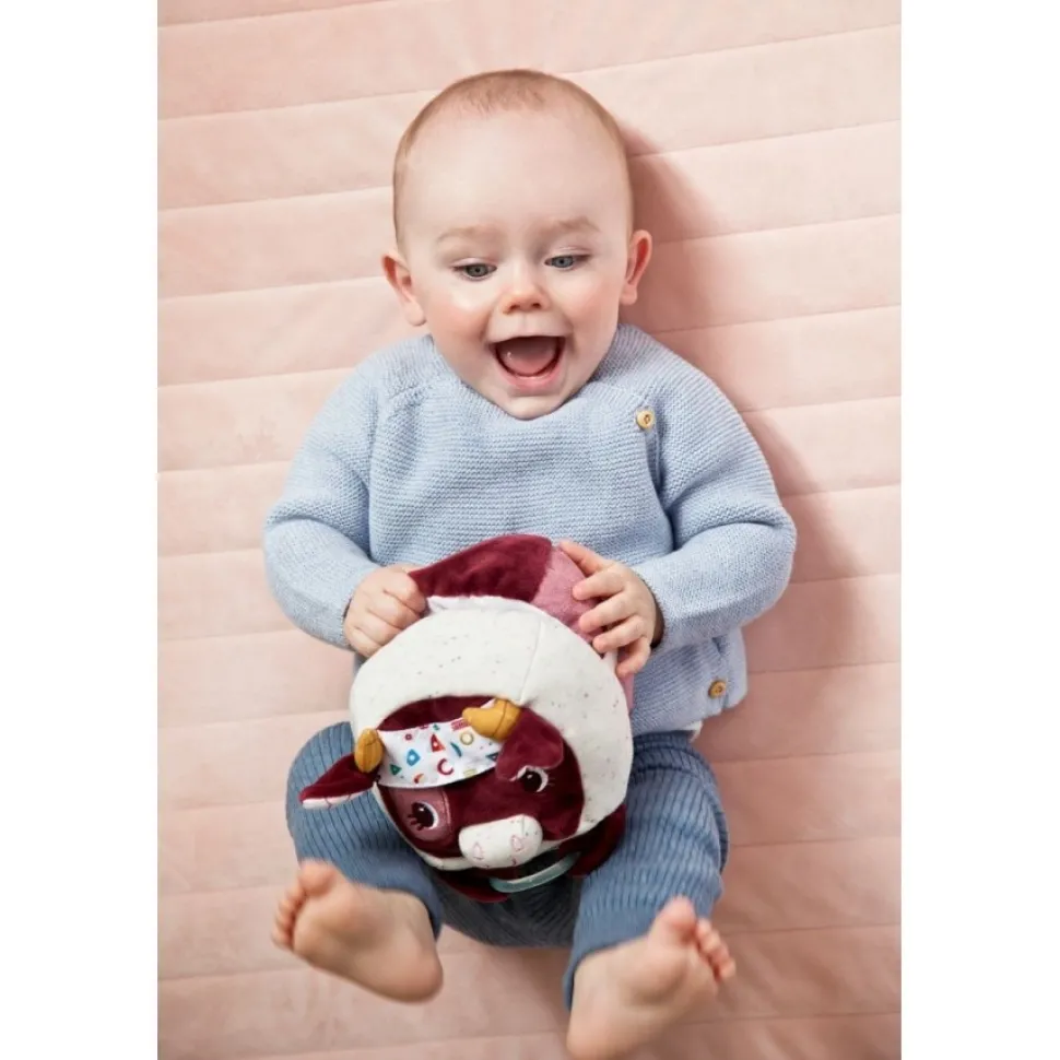 Lilliputiens Ontdekkingskoe Rosalie