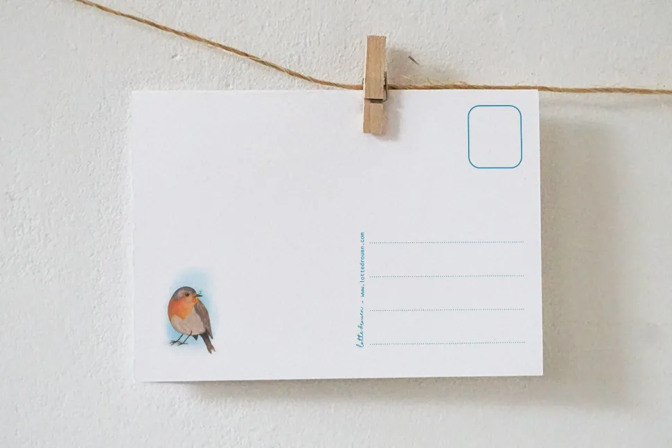 Lotte Drouen Ansichtkaart Roodborstje met bloemen