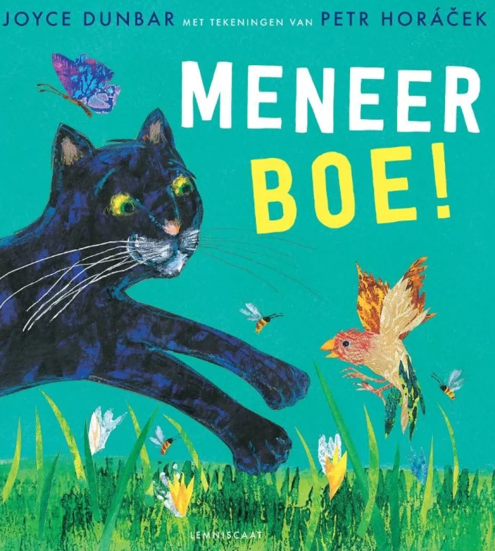 Meneer Boe!