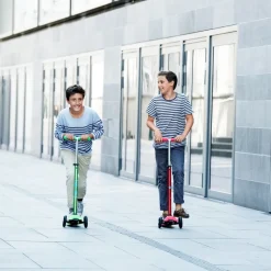 Micro Step Maxi Micro Step Deluxe Rood