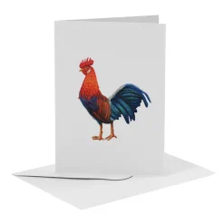 MiesToGo Wenskaart Haan