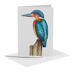 MiesToGo Wenskaart IJsvogel