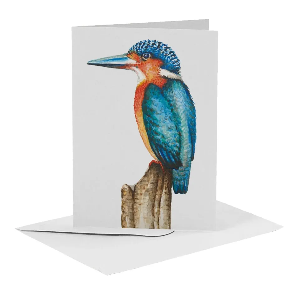 MiesToGo Wenskaart IJsvogel