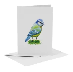 MiesToGo Wenskaart Pimpelmees