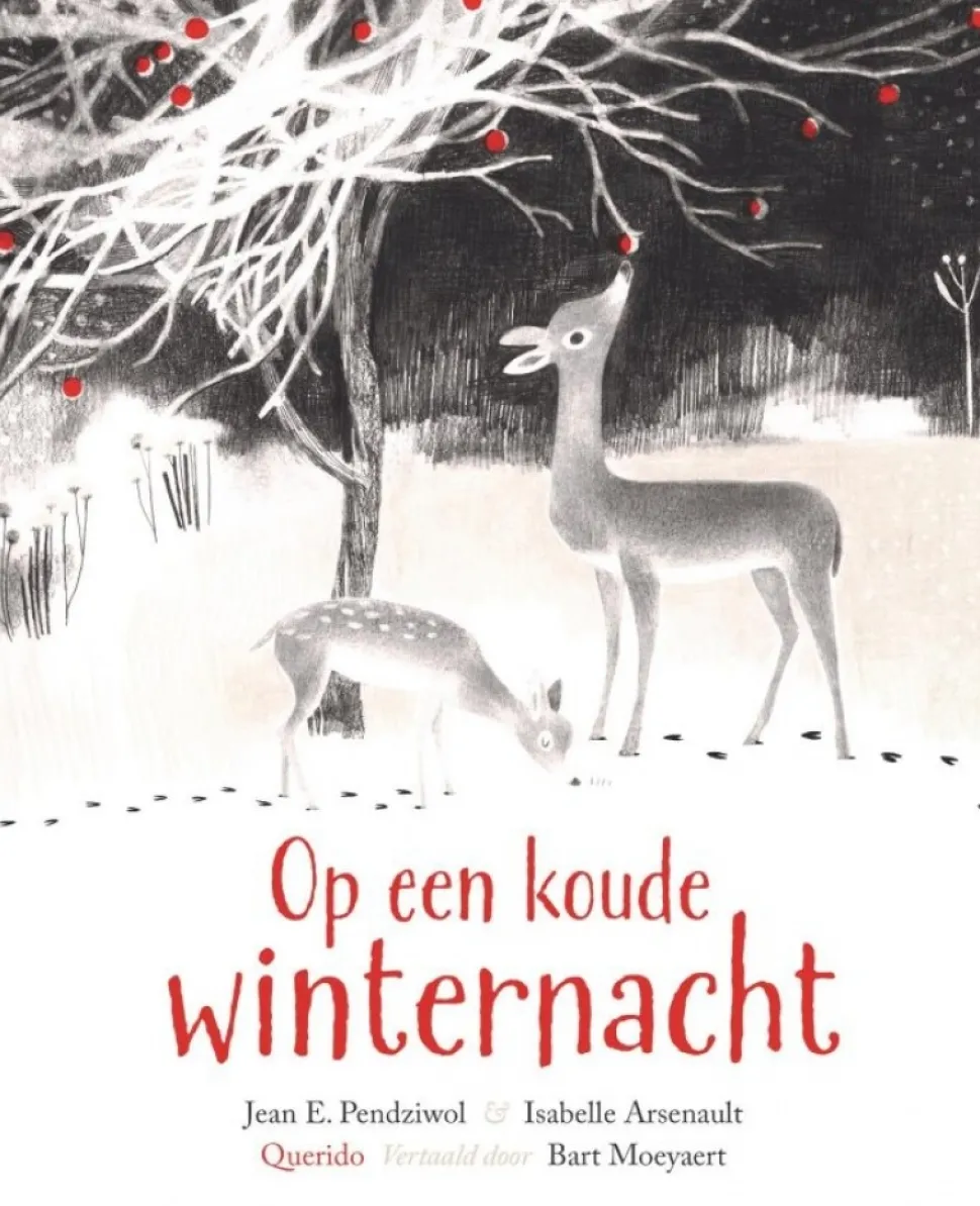 Op een koude winternacht
