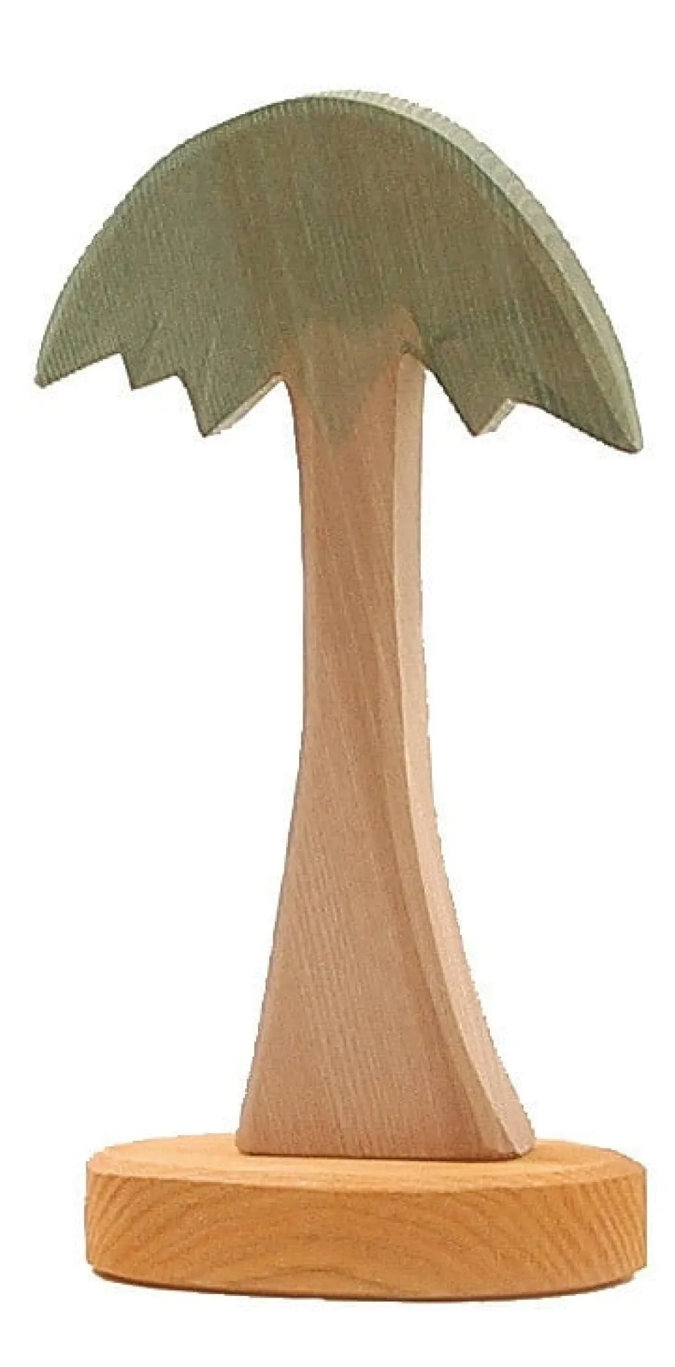 Ostheimer Boom Palm 4198