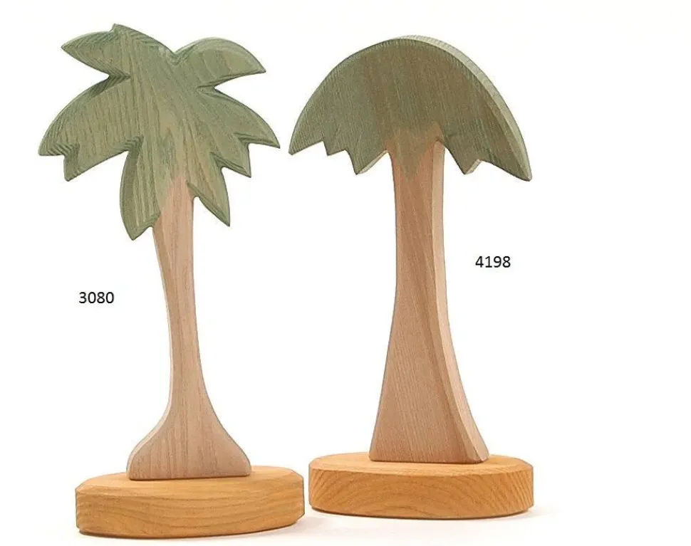 Ostheimer Boom Palm 4198