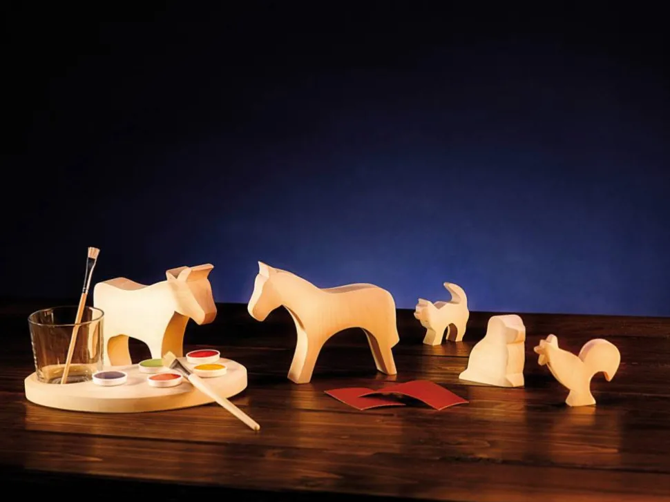 Ostheimer Creatief set compleet 80249