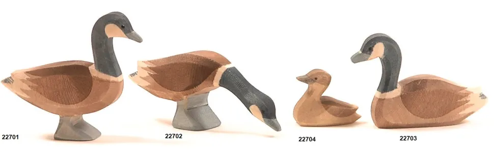 Ostheimer Gans Canadees 22701