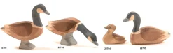 Ostheimer Gans Canadees 22702