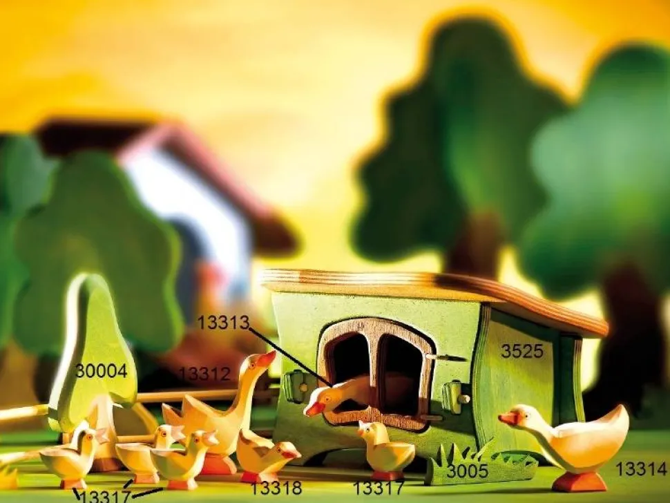 Ostheimer Konijnenhok Ganzenhok 3525