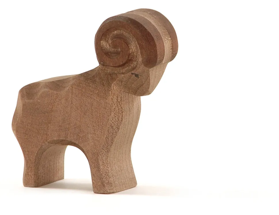 Ostheimer Schaap Ram 11651