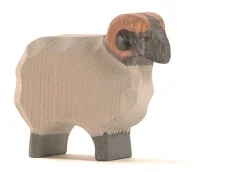 Ostheimer Schaap Ram Heide 11751