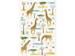 Postcard - Giraffes