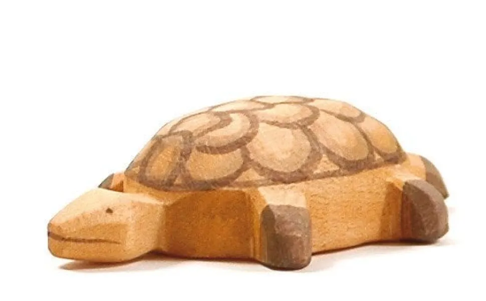 Schildpad Klein 2085