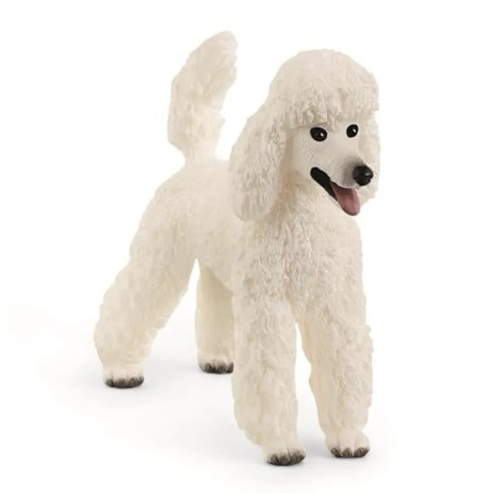 Schleich Hond Poedel 13917