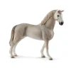 Schleich Paard Holstein Ruin 13859