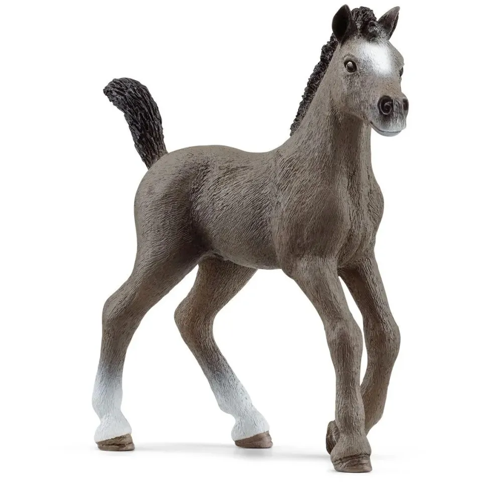 Schleich Selle Français-Veulen