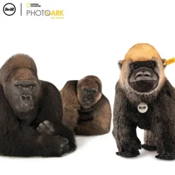 Steiff Knuffel Aap National Geograpghic Boogie Gorilla
